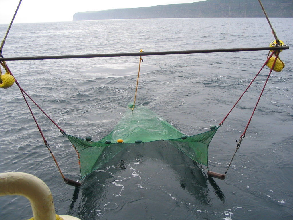 beam trawl