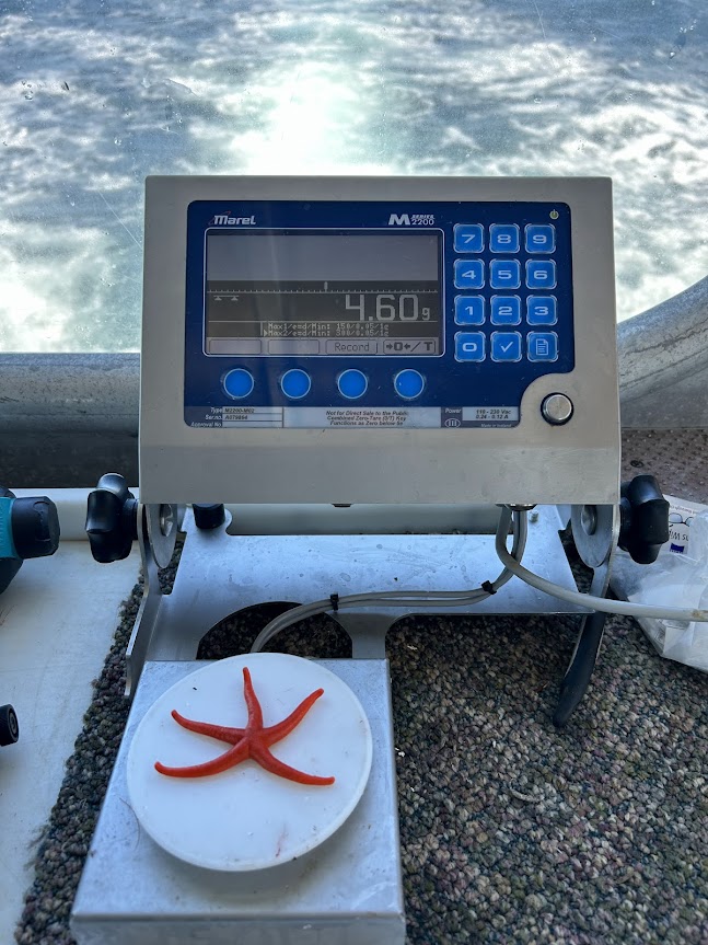 Research Image 6